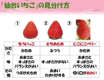 3strawberries.jpg