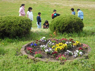 DSCN4155.jpg