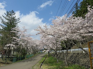 IMG_0135.jpg