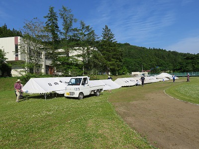 IMG_0762.jpg
