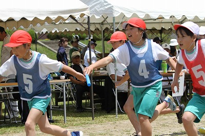 IMG_0265.jpg IMG_0265.jpg