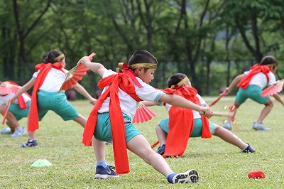 IMG_0531.jpg IMG_0531.jpg
