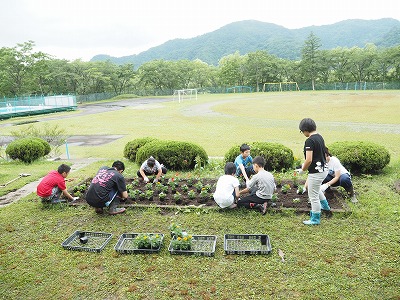 P1010386.jpg