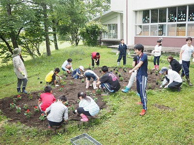 P1010398.jpg