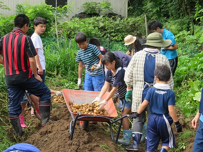 IMG_2007.jpg