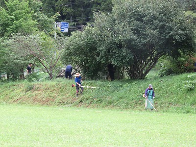 IMG_2645.jpg