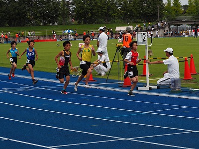 P1010464.jpg