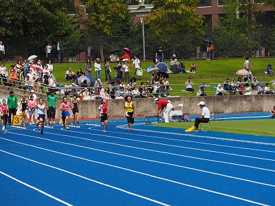 P1010489.jpg