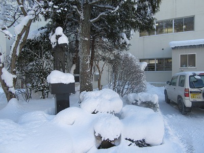 IMG_2470.jpg IMG_2470.jpg