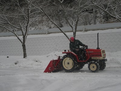 IMG_2718.jpg