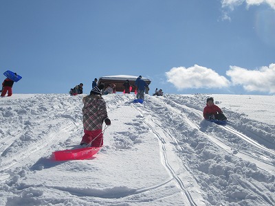 IMG_2912.jpg