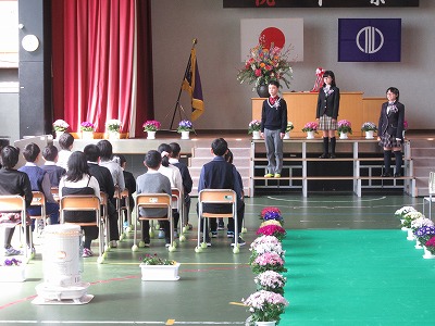 IMG_8262.jpg