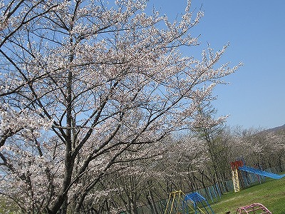 IMG_0585.jpg IMG_0585.jpg