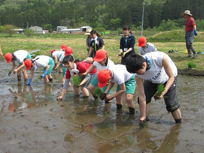 IMG_0392.jpg IMG_0392.jpg