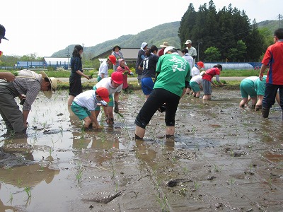 IMG_0399.jpg IMG_0399.jpg