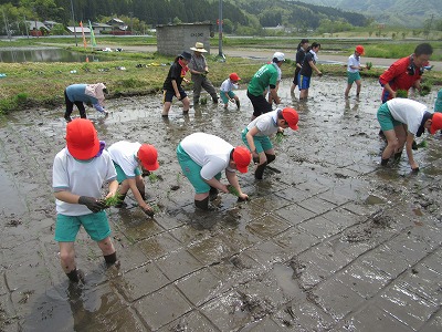 IMG_0402.jpg IMG_0402.jpg