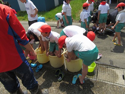 IMG_0458.jpg IMG_0458.jpg