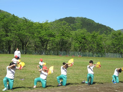 IMG_0771.jpg IMG_0771.jpg
