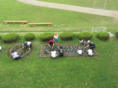 IMG_4398.jpg IMG_4398.jpg