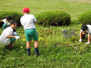 DSCN5178.jpg