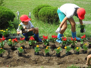 DSCN5202.jpg