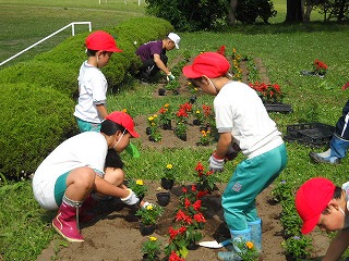 DSCN5203.jpg