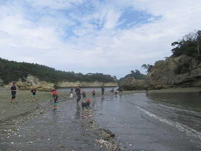 IMG_6571.jpg