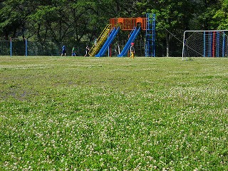 DSCN5222.jpg
