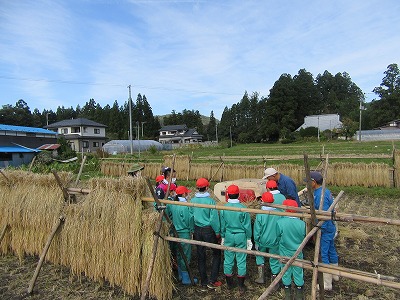 IMG_2387.jpg