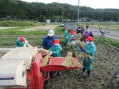 IMG_2432.jpg