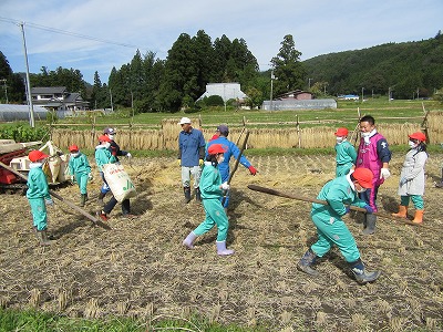 IMG_2557.jpg