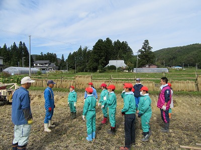 IMG_2574.jpg