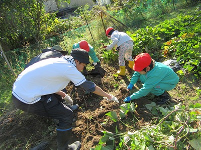 IMG_3344.jpg