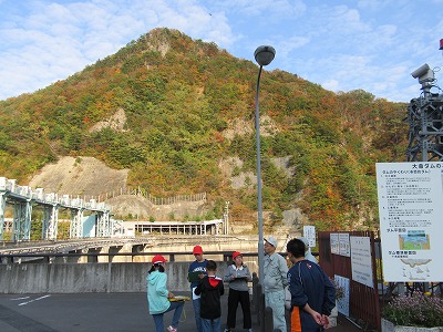 IMG_3480.jpg