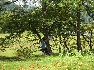 DSCN5460.jpg DSCN5460.jpg
