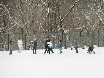 IMG_6803.jpg