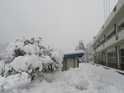 IMG_7860.jpg