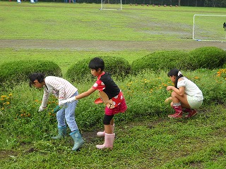 DSCN5666.jpg DSCN5666.jpg