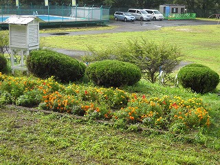 DSCN5668.jpg DSCN5668.jpg