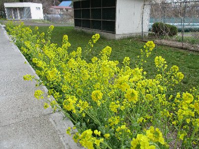IMG_0003.JPG
