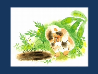 饤7.jpg