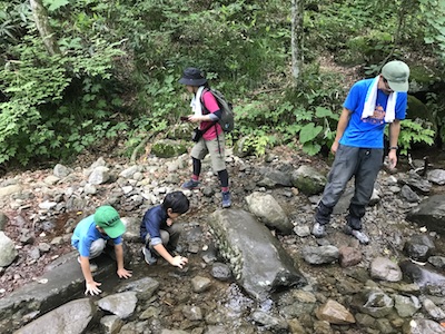 IMG_6502.JPG