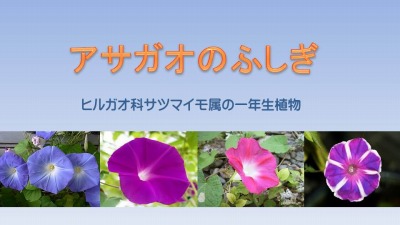饤2.jpg