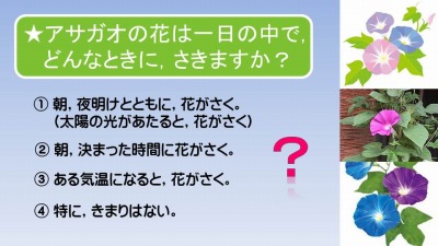 饤3.jpg