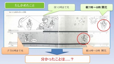 饤10.jpg