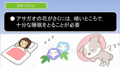 饤11.jpg