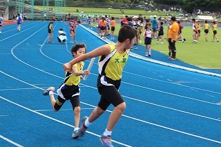IMG_2297.jpg