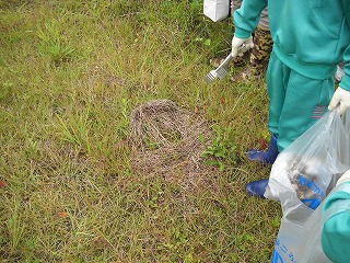 DSCN5881.jpg