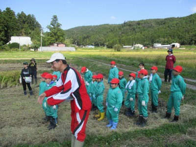 IMG_1287.jpg IMG_1287.jpg