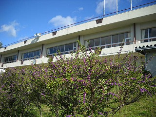 DSCN5943.jpg